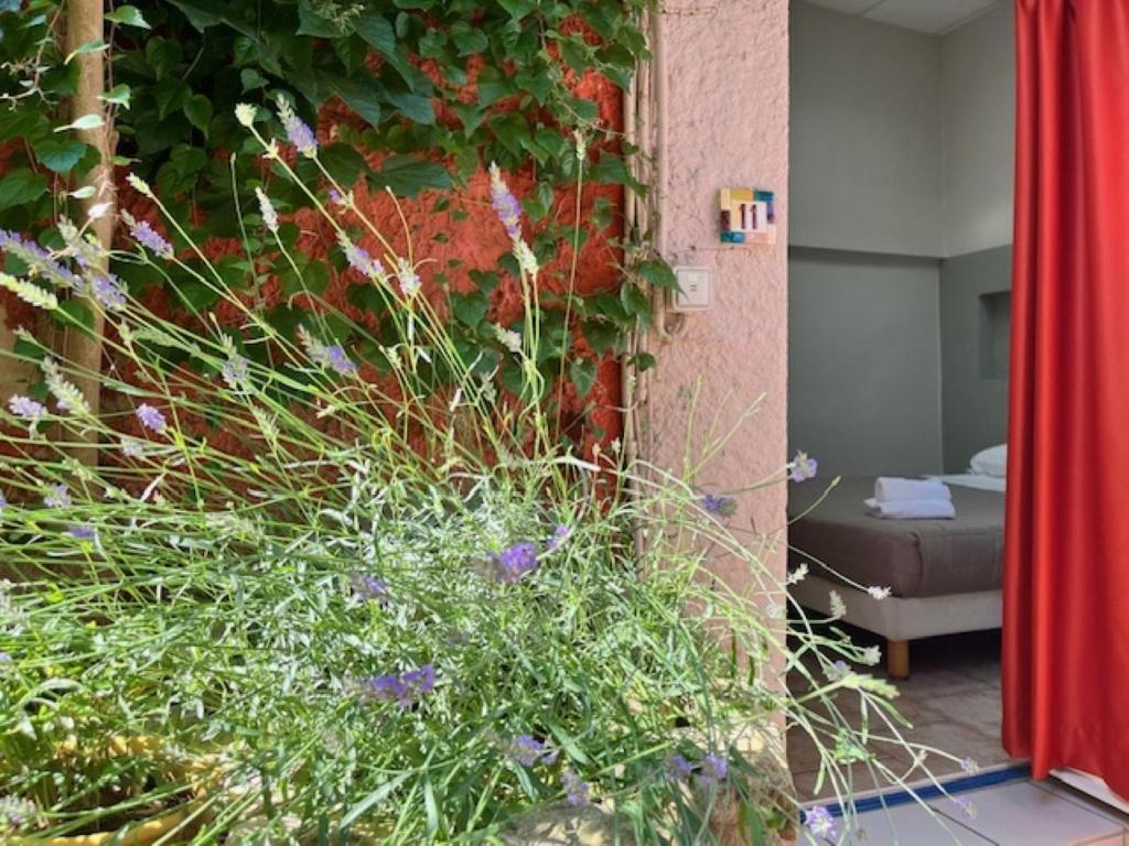 Hotel Le Colbert أفينيون المظهر الخارجي الصورة